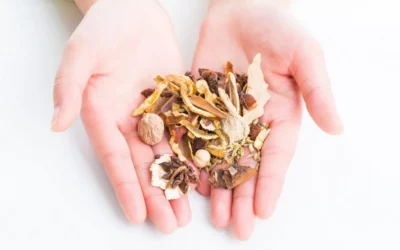 Bylinná liečba (fytoterapia) v tradičnej čínskej medicíne.