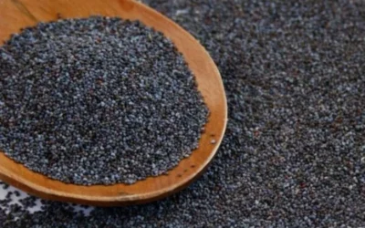 Máte doma mak? Pozrite sa s nami na jeho účinky a upečte si chutný makový koláč.